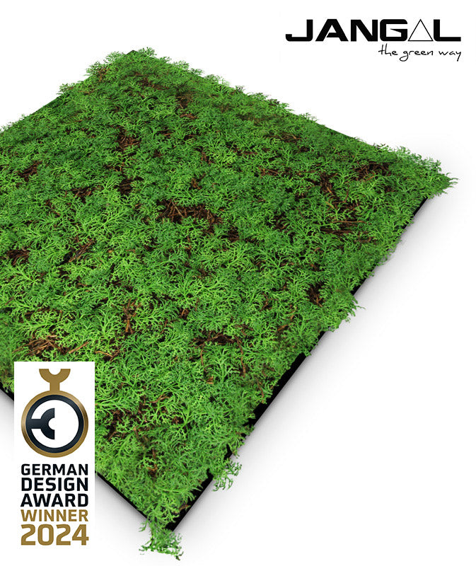 Jangal Wandpaneel Flora-Wandpaneel mit Thuja und Teebaum, 52 x 52 cm, grüne Pflanzen für natürliche Raumdekoration
