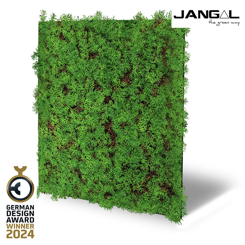 Jangal Wandpaneel Flora mit Thuja und Teebaum, 52x52 cm, grüne Pflanzenwand für natürliche Raumgestaltung