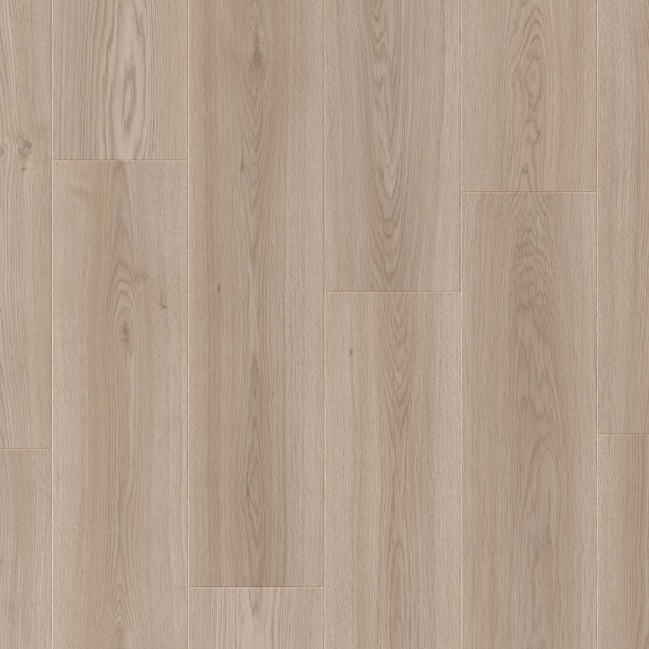 Modulor LayRed 55 Dingle Oak Vinylboden von Moduleo mit Klicksystem und Trittschalldämmung, Holzoptik, natürliche Maserung