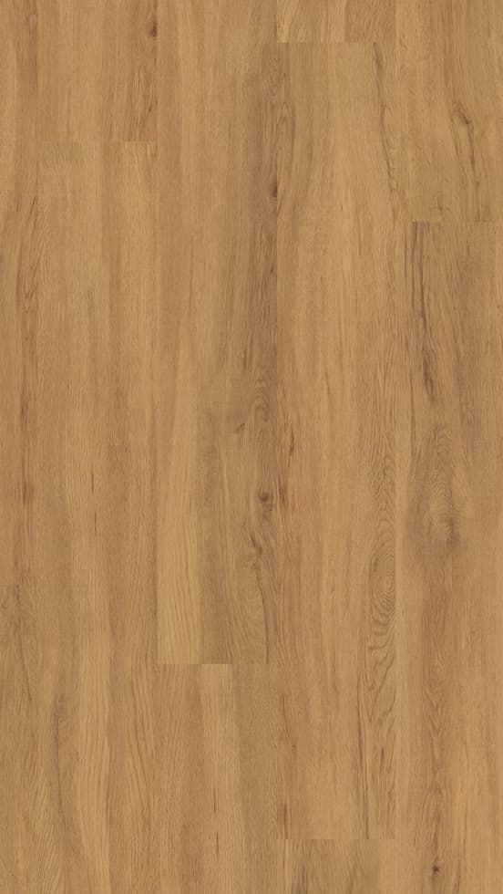 Projektböden F-SPC PW 3361 Klick-Vinyl mit Trittschall, 0,55 mm, in Holzoptik, sichtbare Oberfläche, von Project Floors