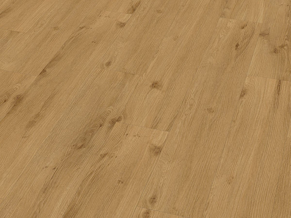 CHECK One Julius Eiche, Klickvinyl in Holzoptik