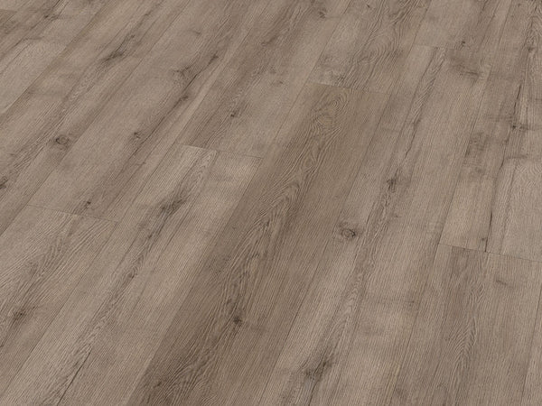 CHECK One Terpe Eiche, Klickvinyl in Holzoptik