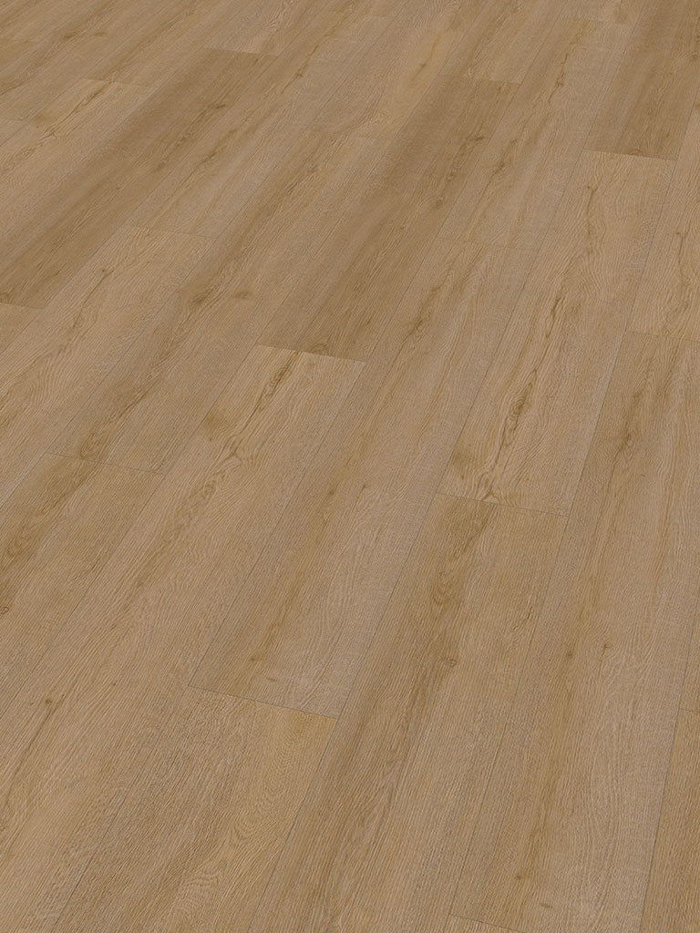 CHECK One Lohe Eiche, Klickvinyl in Holzoptik
