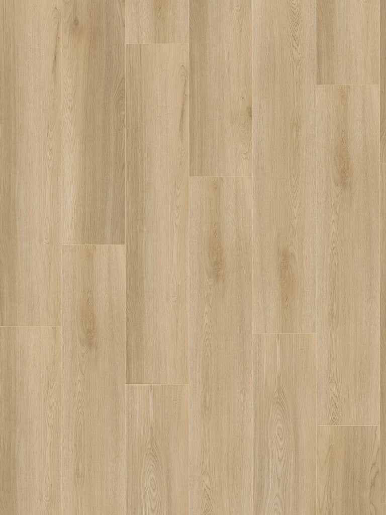 CHECK One Morbach Eiche, Klickvinyl in Holzoptik
