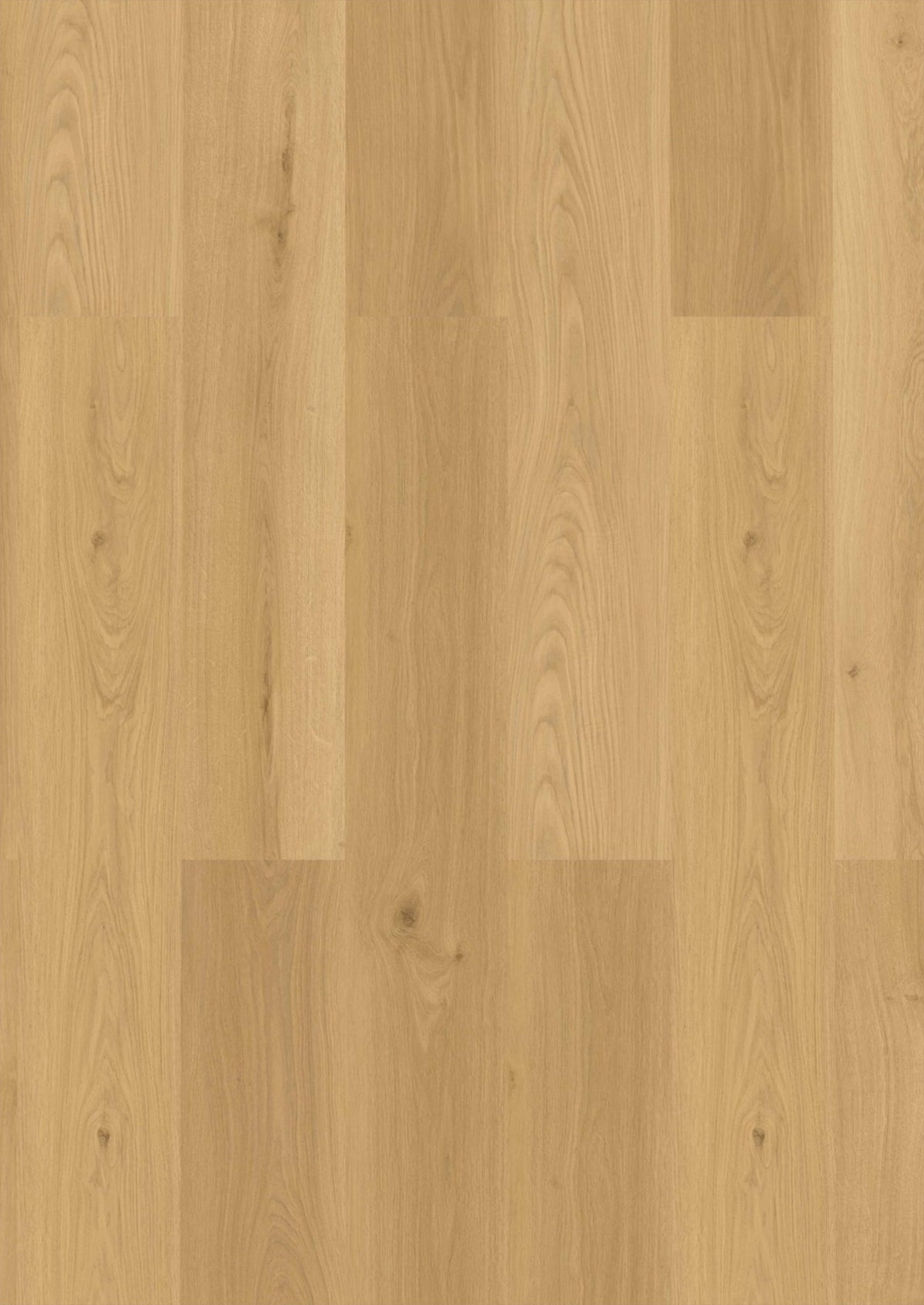 CHECK One Buchäcker Eiche, Klickvinyl in Holzoptik
