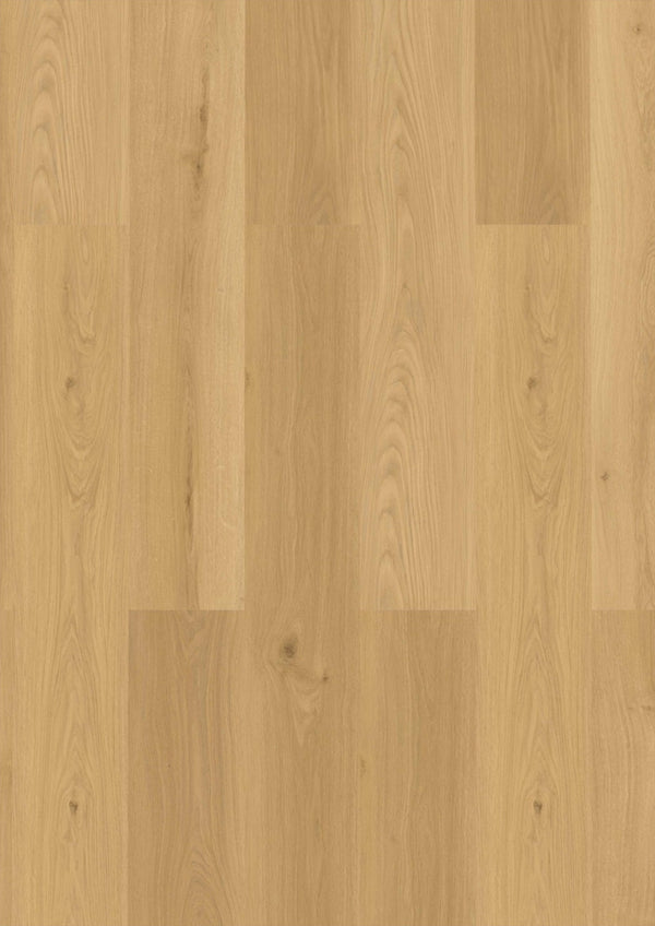 CHECK One Buchäcker Eiche, Klickvinyl in Holzoptik