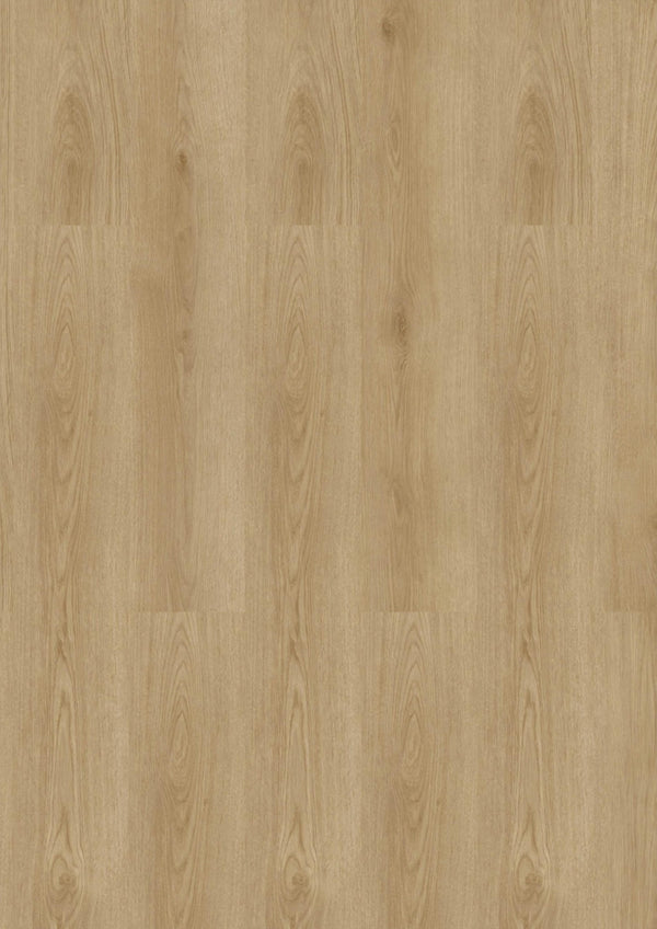 CHECK One Wees Eiche, Klickvinyl in Holzoptik