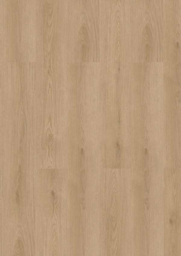CHECK One Krokamp Eiche, Klickvinyl in Holzoptik