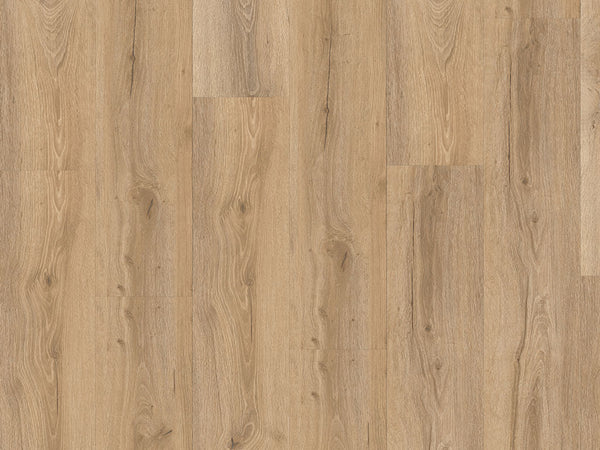 CHECK comfort Silves Eiche, Klickvinyl in Holzoptik