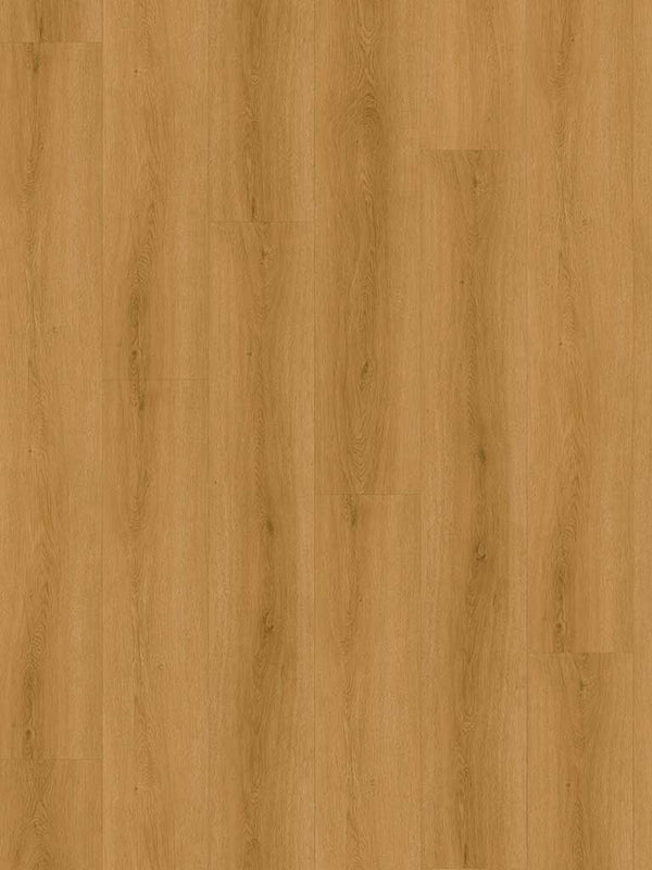 CHECK Klebevinyl Tordera Eiche, Klebevinyl in Holzoptik