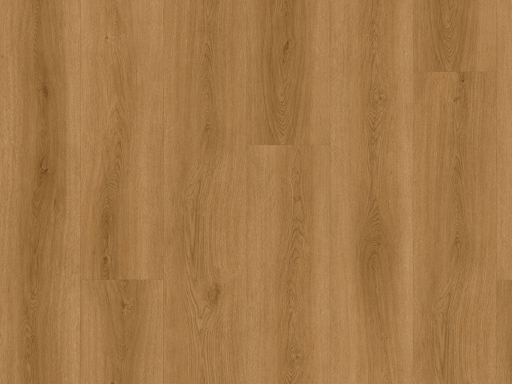 CHECK expert Albera Eiche, Klebevinyl in Holzoptik
