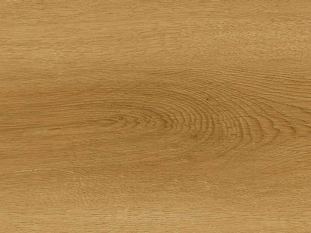 CHECK Klebevinyl Albera Eiche, Klebevinyl in Holzoptik