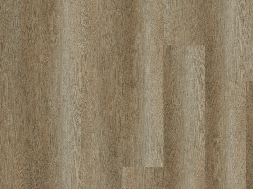 CHECK expert Gavarres Eiche, Klebevinyl in Holzoptik