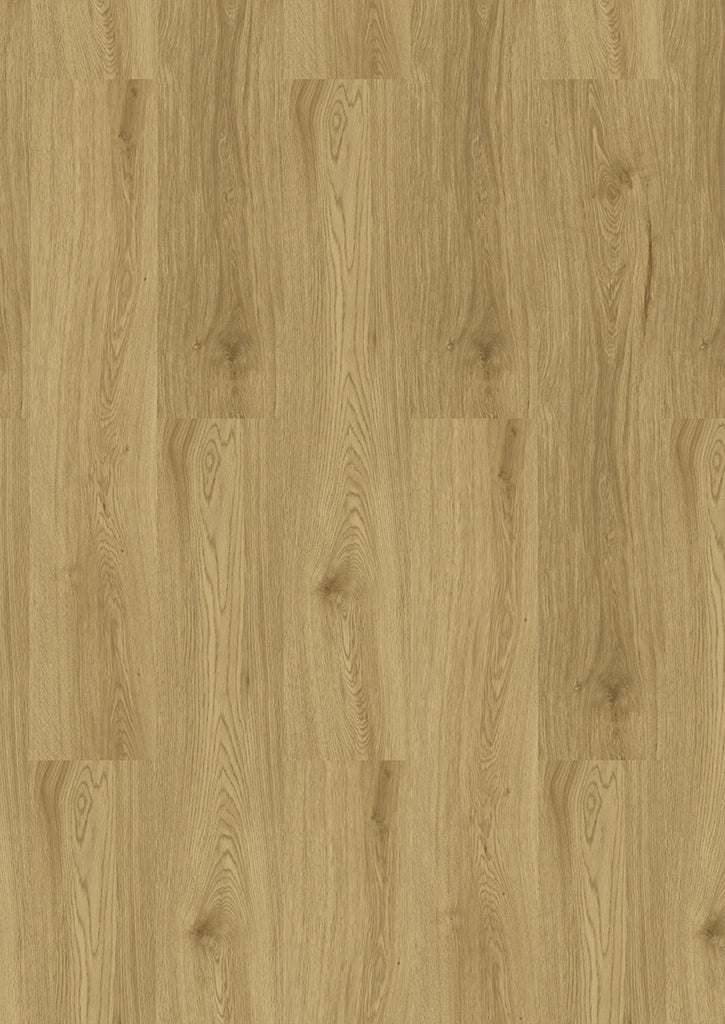 CHECK PET Levitas Eiche, Klickvinyl in Holzoptik