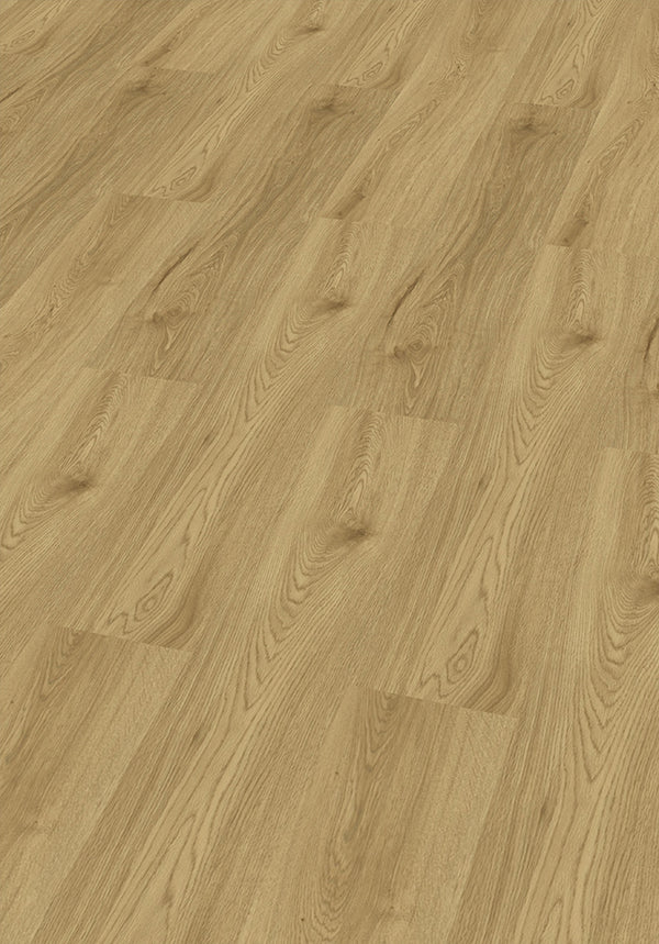 CHECK PET Levitas Eiche, Klickvinyl in Holzoptik