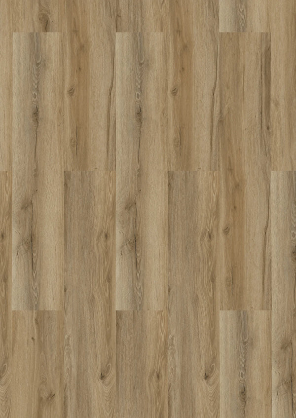 CHECK PET Silva Eiche, Klickvinyl in Holzoptik