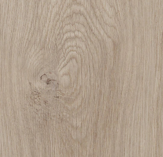 Forbo Allura Enduro 0,30 Washed Oak Vinylboden, detailreiche Holzstruktur in hellbraun, Klebevinyl für langlebigen Bodenbelag