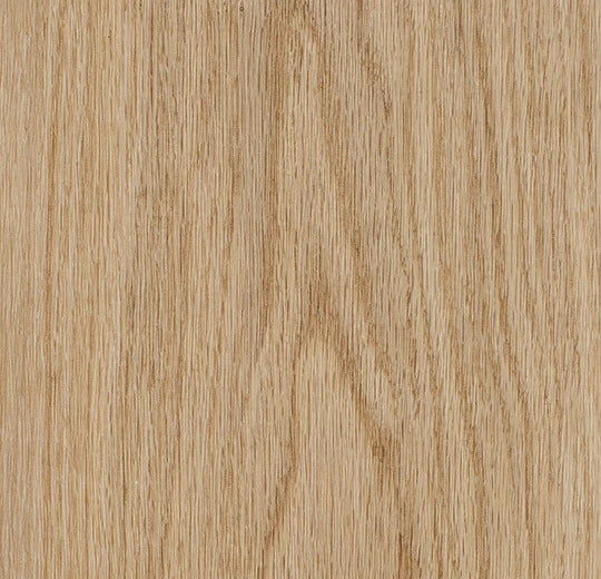 Vinylboden Forbo Allura Enduro 0,30 Pure Oak 69101 mit Eichenmuster, langlebiges Klebevinyl für Wohnräume, detailreiche Holzoptik