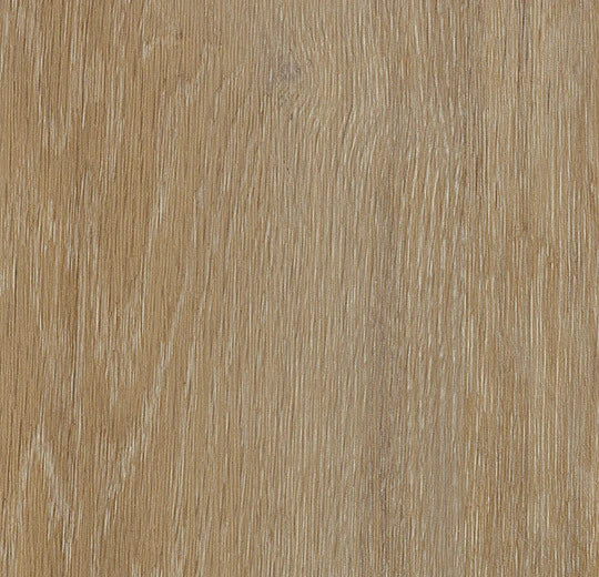 Forbo Allura Enduro Vinylboden in Golden Oak 69120, Klebevinyl mit Holzoptik, sichtbare Oberfläche und Textur