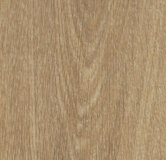 Vinylboden Forbo Allura Dryback Giant Oak 60284 in Naturholzoptik, großformatiges Klebevinyl, sichtbare Holzmaserung und Textur