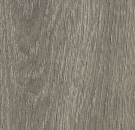 Vinylboden Forbo Allura Dryback 0,40 in Grau Giant Oak 60280, Klebevinyl XXL, mit Holzoptik, Nahaufnahme