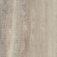 Vinylboden Forbo Allura Dryback 0,55 in Weiß Rohholz-Optik, Klebevinyl, sichtbare Oberfläche und Textur