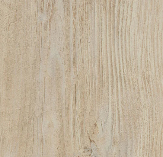 Vinylboden Forbo Allura Dryback 0,55 Bleached Rustic Pine 60084 mit hellem, rustikalem Holzdesign, Klebevinyl, Nahaufnahme
