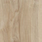 Forbo Allura Dryback Vinylboden in Light Honey Oak 60305, rechteckige Vinylfliesen mit Holzoptik