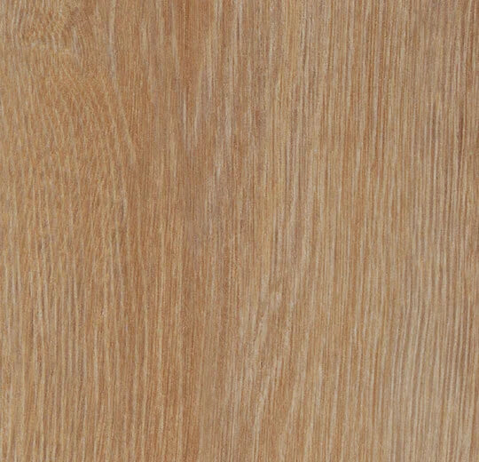 Vinylboden Forbo Allura Dryback 0,40 Pure Oak 60295 mit Holzdesign, Klebevinyl, sichtbare Oberflächenstruktur und natürliche Holzmaserung