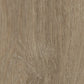 Vinylboden Forbo Allura Click Pro Light Giant Oak 60288 mit hellbraunen Eichenholzoptik, Klicksystem, XL-Format