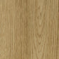 Forbo Allura Decibel Klebevinyl in Natural Antique Eichenoptik, 0,80 mm, mit Schalldämmung, sichtbare Holzmaserung auf Oberfläche