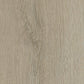 Helles Vinylboden IPC Terra Design Sofia aus Klebevinyl, detailreiche Holzoptik, langlebig und pflegeleicht.