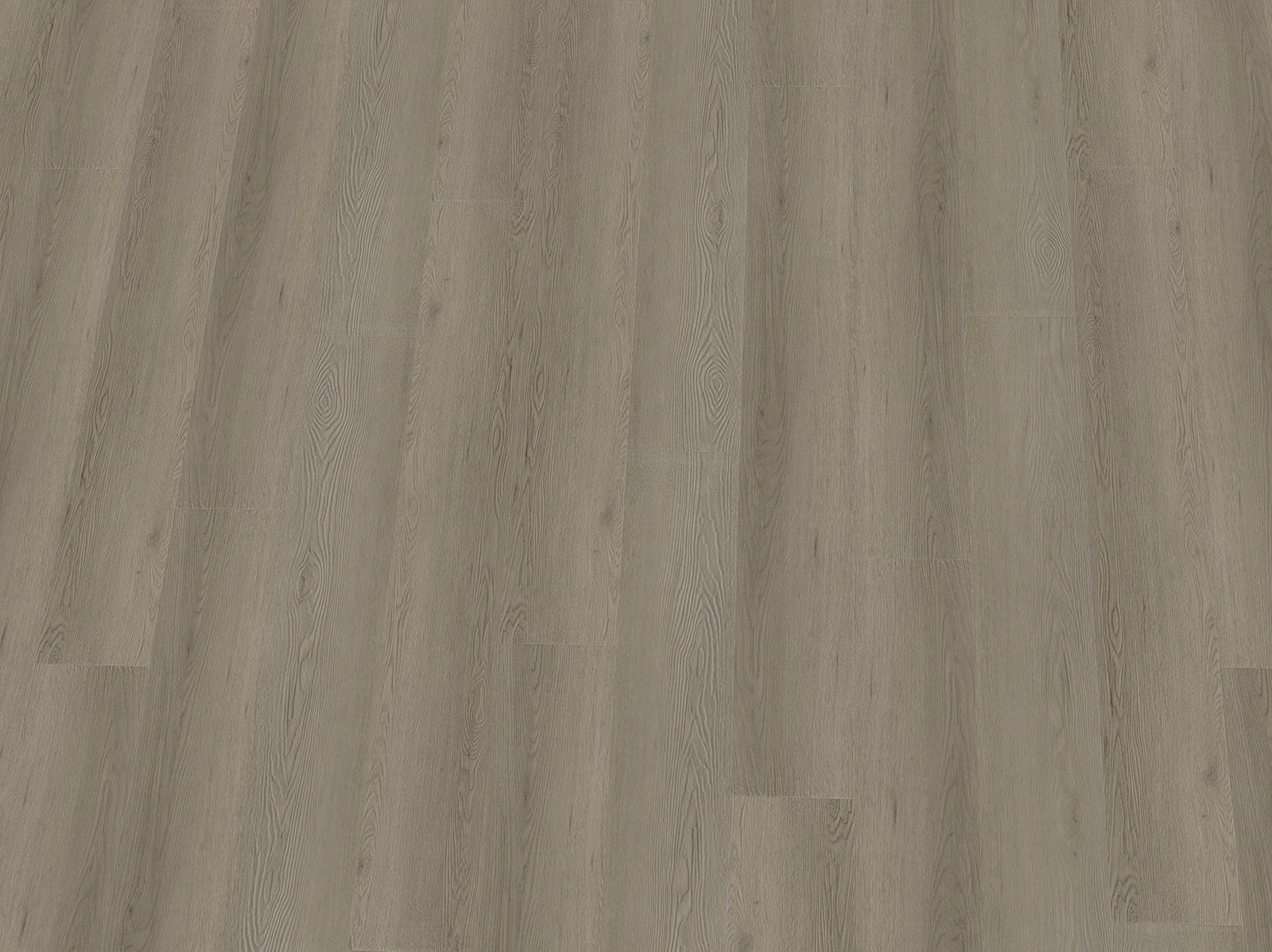 Schwarz-weißer IPC Terra Design Prag Vinylboden aus Klebevinyl, hochqualitative Oberfläche und realistische Holzmaserung.