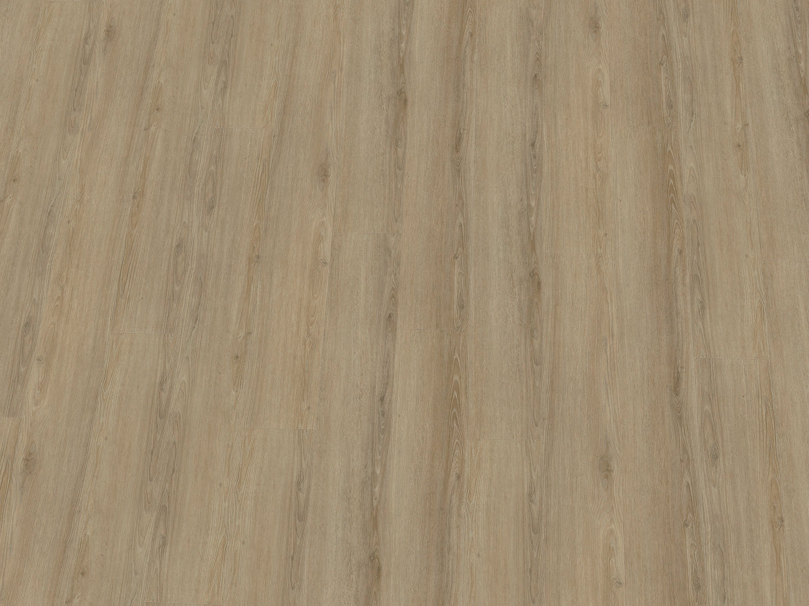 Hochwertiger IPC Terra Design Budapest Klebevinyl in Schwarz-Weiß, Vinylboden mit Holzoptik, detailreiche Oberfläche.