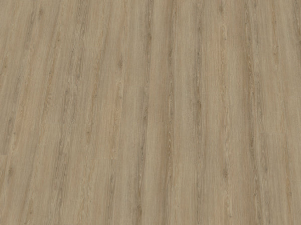 Hochwertiger IPC Terra Design Budapest Klebevinyl in Schwarz-Weiß, Vinylboden mit Holzoptik, detailreiche Oberfläche.