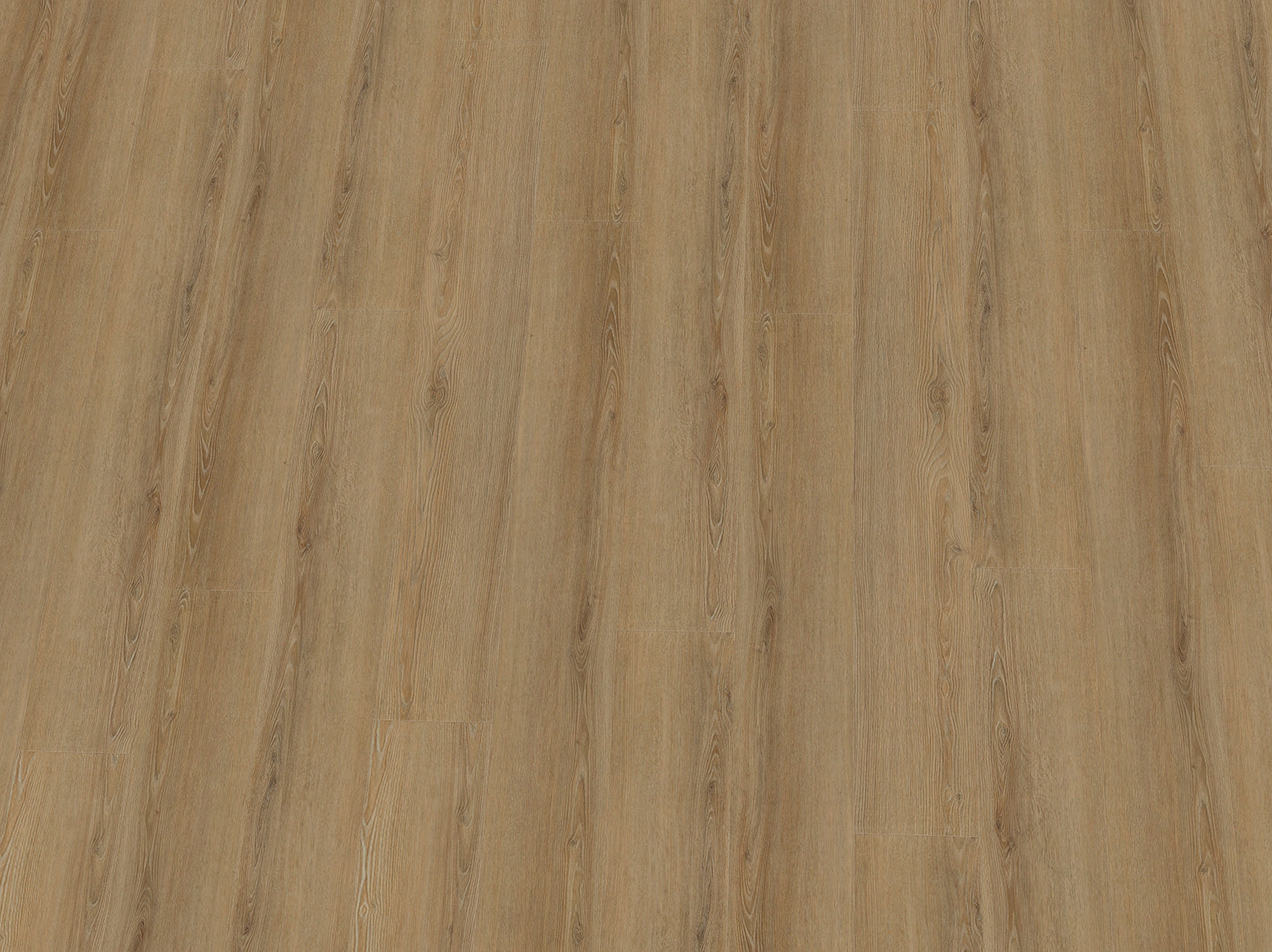 Heller Vinylboden IPC Terra Design Dublin Klebevinyl in Weiß und Schwarz mit Holzmaserung, langlebig und stilvoll.
