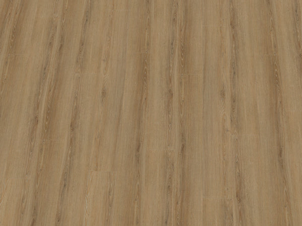 Heller Vinylboden IPC Terra Design Dublin Klebevinyl in Weiß und Schwarz mit Holzmaserung, langlebig und stilvoll.