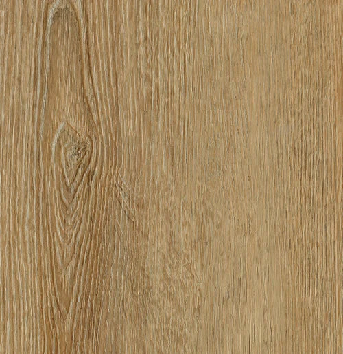 Vinylboden IPC Terra Design Dublin Klebevinyl mit Holzoptik, hellbraune Holzmaserung, langlebig und pflegeleicht