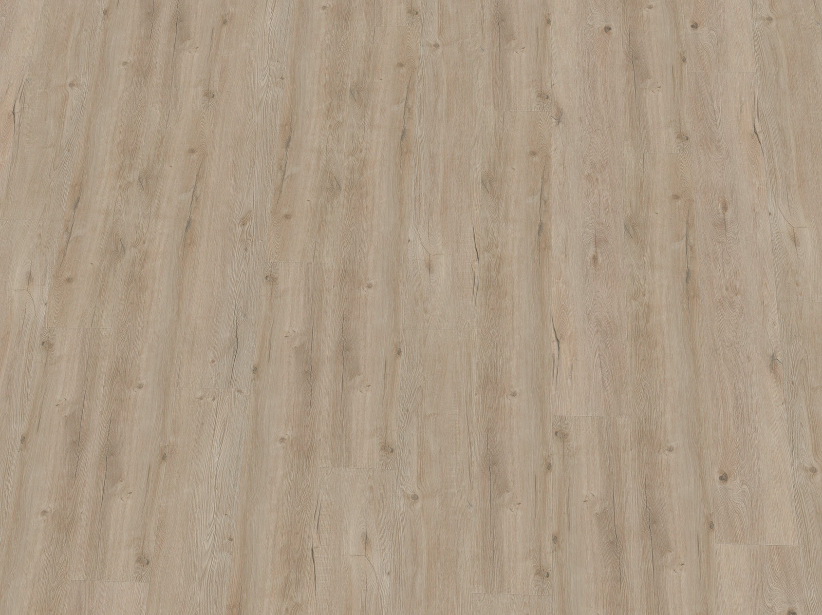 Vinylboden IPC Terra Design Monaco in Schwarz-Weiß, Klebevinyl mit Holzmaserung, detailreiche Textur, für stilvolle Räume