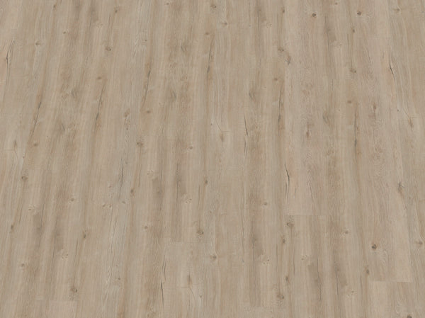 Vinylboden IPC Terra Design Monaco in Schwarz-Weiß, Klebevinyl mit Holzmaserung, detailreiche Textur, für stilvolle Räume
