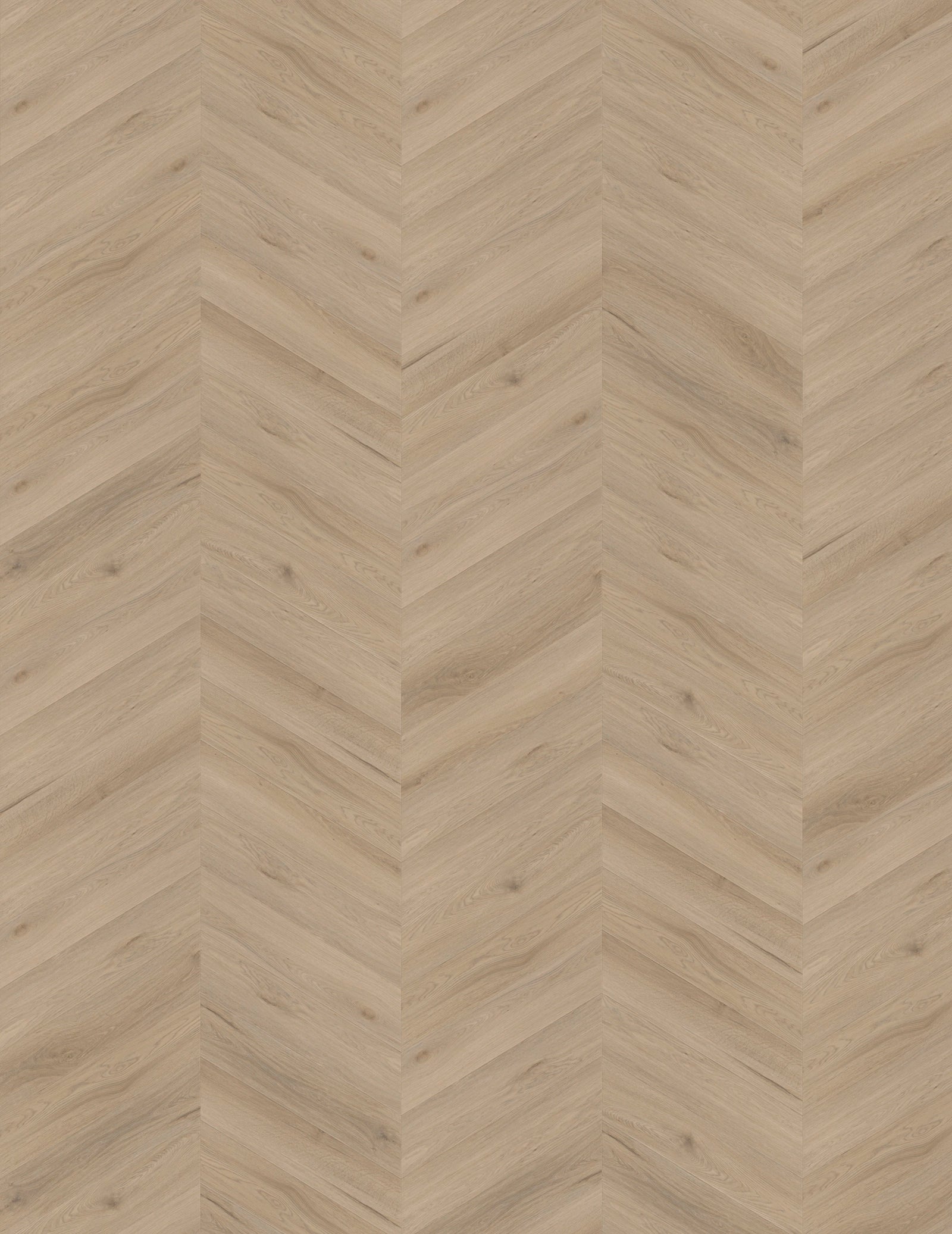 Vinylboden IPC Opal Chevron Eiche Maastricht mit hellem Holzdesign, Klebevinyl für strapazierfähigen Bodenbelag