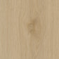 Vinylboden IPC Opal Chevron Eiche Den Bosch mit Holzmaserung und Chevron-Muster, Klebevinyl, Nahaufnahme des Designs