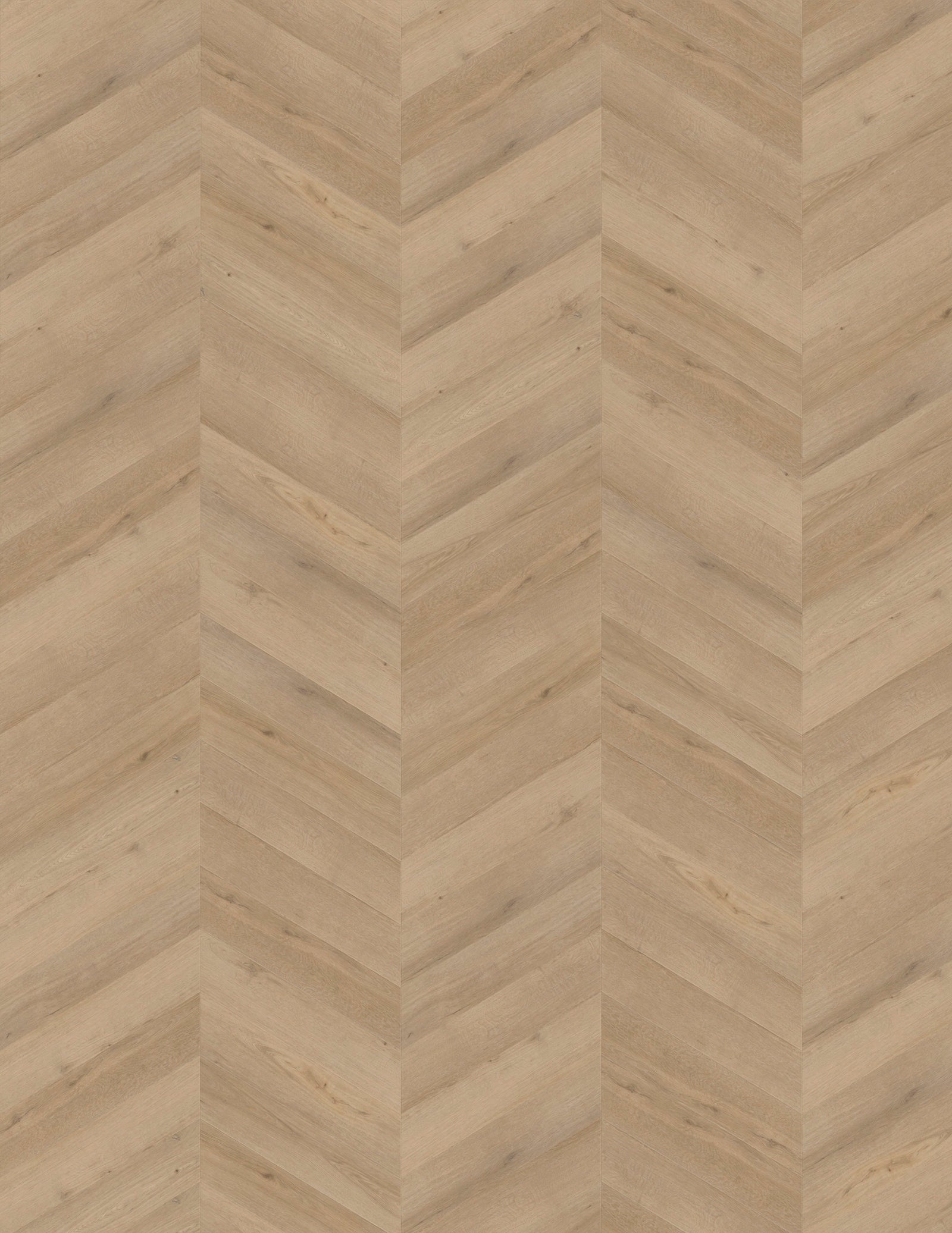 IPC Opal Chevron Eiche Delft Vinylboden, Klebevinyl mit hellem Holzdesign und Chevron-Muster, liegt flach auf dem Boden.