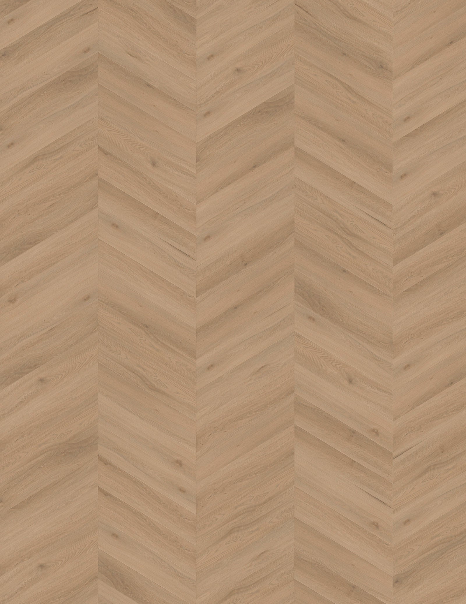 Vinylboden IPC Opal Chevron Eiche Alkmaar in cremiger Eichenholzoptik mit Chevron-Muster, Klebevinyl für langlebigen Bodenbelag