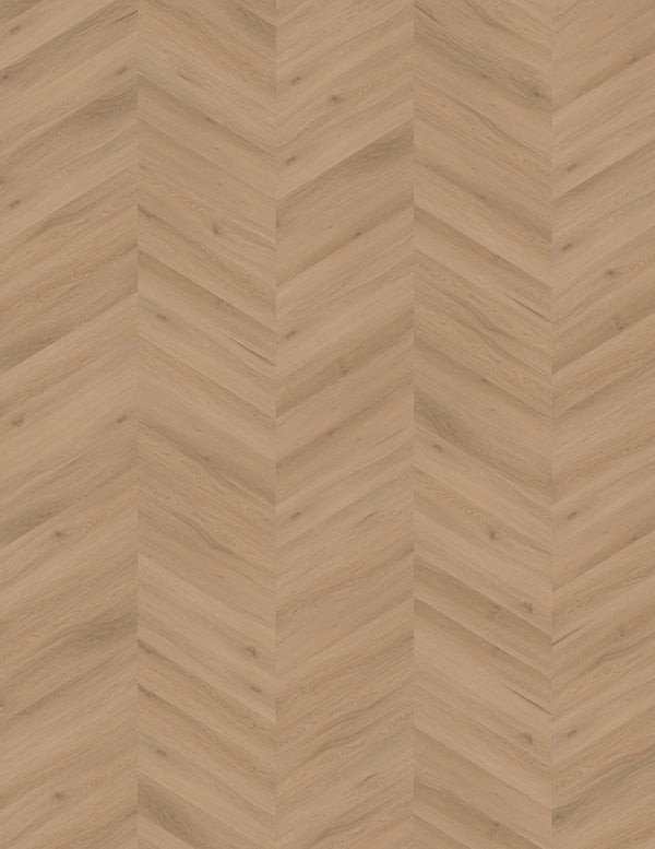 Vinylboden IPC Opal Chevron Eiche Alkmaar in cremiger Eichenholzoptik mit Chevron-Muster, Klebevinyl für langlebigen Bodenbelag