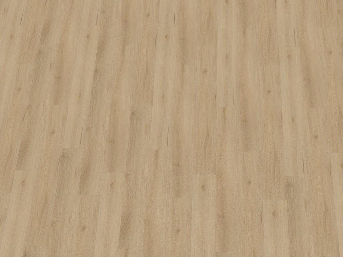 Vinylboden IPC Opal XL Eiche Den Bosch, Klebevinyl mit Holzmaserung in Eiche, hellbraune und weiße Farbtöne, Bodenbelag.