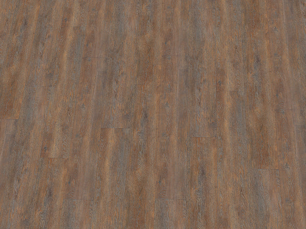 Vinylboden IPC Rubin XL Eiche Cognac, Klebevinyl, helle Holzdiele mit realistischem Eichenmuster, strapazierfähig und langlebig