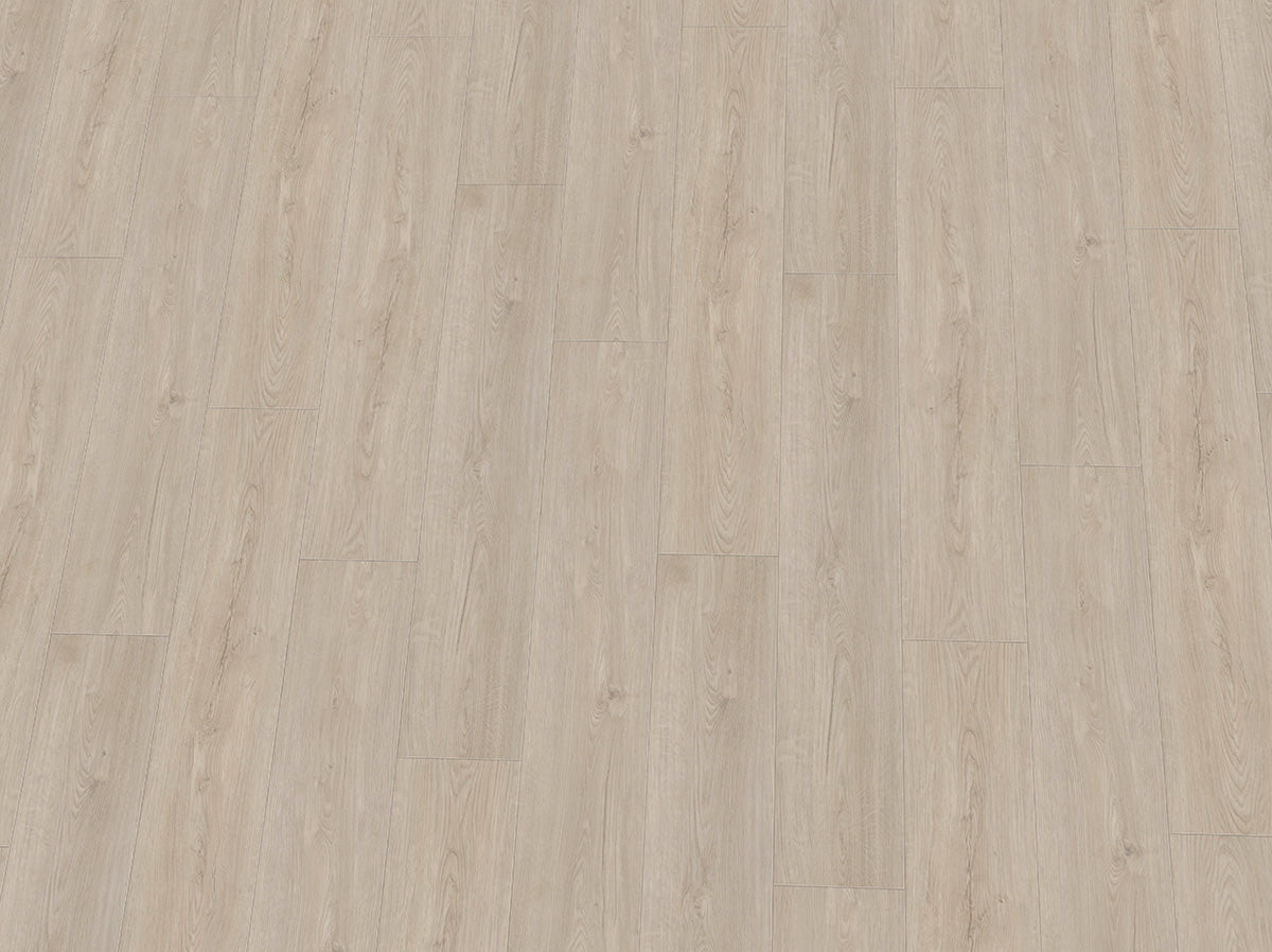 Vinylboden IPC Rubin XL Eiche wollweiß, Klebevinyl, Nahaufnahme der Holzmaserung und Textur in hellem Eichenholzdesign