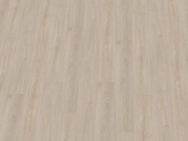 Vinylboden IPC Rubin XL Eiche wollweiß, Klebevinyl, Nahaufnahme der Holzmaserung und Textur in hellem Eichenholzdesign