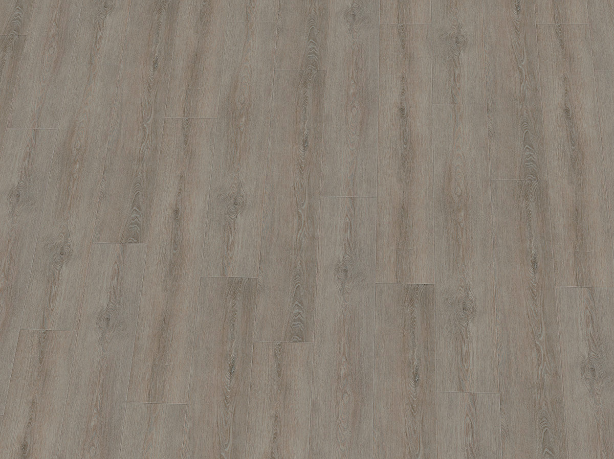 PVC Vinylboden IPC Rubin XL Eiche bleigrau, Klebevinyl, Nahaufnahme der texturierten Oberfläche und Holzmaserung.